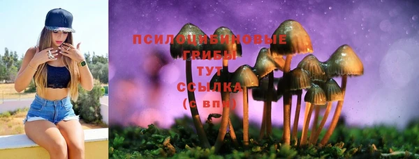 прущие крисы Михайловск