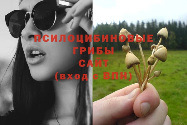 тгк Медногорск
