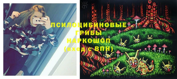 скорость Мегион