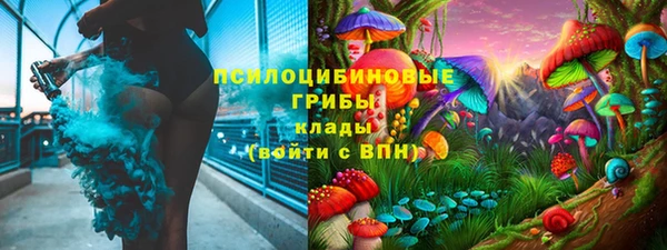 тгк Медногорск