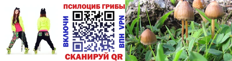 Галлюциногенные грибы прущие грибы  купить наркотики цена  mega ссылка  Байкальск 